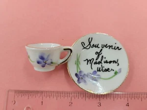 Vintage Souvenir of Madison Wisconsin Cup and Saucer - Picture 1 of 3