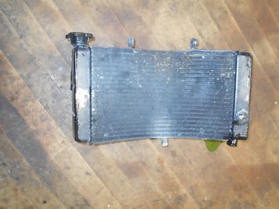 96-97 HONDA CBR900RR cbr900 OEM ENGINE RADIATOR MOTOR COOLER COOLING RADIATER - Image 1 of 2