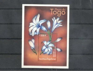 (953168) Flowers, Togo - Foto 1 di 1