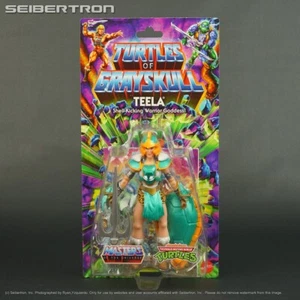 TEELA Turtles of Grayskull MOTU + TMNT Masters Universe Mattel 2024 New - Picture 1 of 7