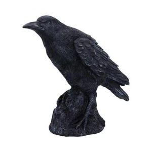 Raven Messenger Figurine 25cm - Picture 1 of 5