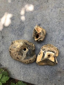 Flint Hag Stone Nodules East Anglia Pre-History - Bundle of 3 - Picture 1 of 4