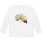 Beetle Grub Childrens  Kids Long Sleeve Cotton T Shirts Kl040854
