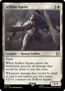 Selfless Squire - 176 / English / Lightly Played - Picture 1 of 1
