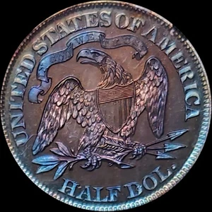 1868 50c🌈NGC PR-67 TOP POP🌌 SUPERB GEM 🌈Album Toned Seated Liberty Proof Half - Picture 1 of 5