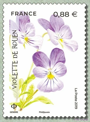 france 2019 flower fleur blumen Violet of ROUEN flora fiori 1v mnh - Image 1 of 1