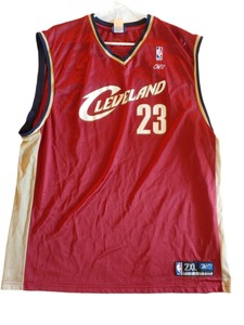 lebron james old jersey