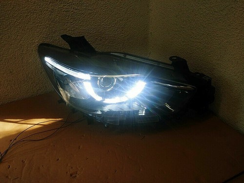 Foto 1 di 7