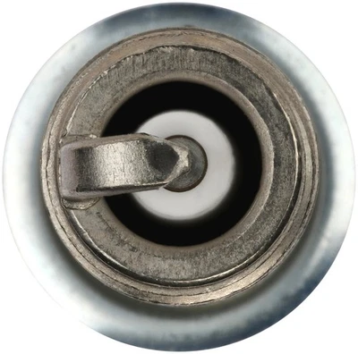 Свеча зажигания Bosch 9613 для 00–23 Toyota Camry RAV4 Sienna Tacoma Highlander - Изображение 1 из 4