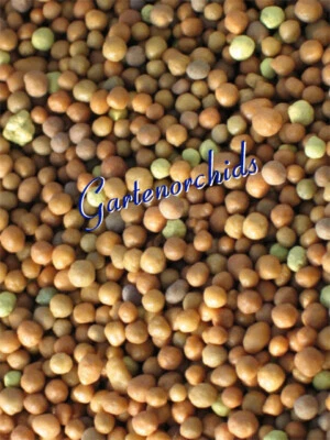 MARKENLOS Dünger Langzeitdünger für Orchideen Phalaenopsis, Cattleya, Laelia, u.v.m. 100gr