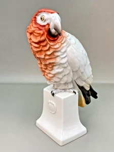 Rosenthal Porcelain 7” Red African Gray Parrot Bird Moldenhauer Germany - Picture 1 of 15