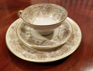 Vintage Johann Haviland Porcelain Tea/Coffee Luncheon Set - Picture 1 of 4