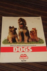 Was Sie schon immer über Hunde wissen wollten Buch Training Gesundheit verstehen - Bild 1 von 1