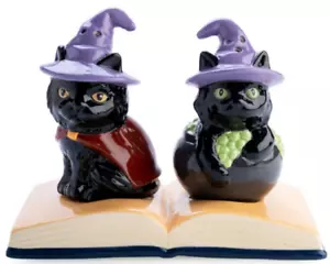 Witch Black Cats & Book - Ceramic Salt and Pepper Shakers - Picture 1 of 1