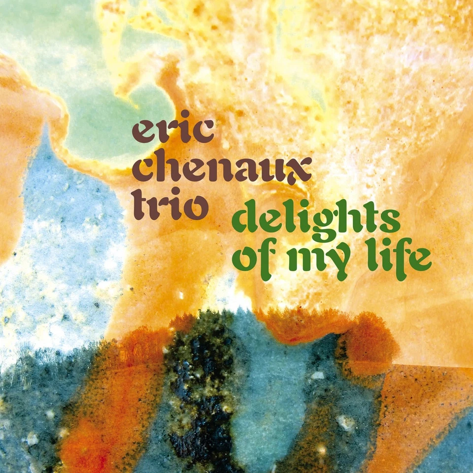 Eric Chenaux Trio Delights of My Life (CD) Album - image 1 of 1