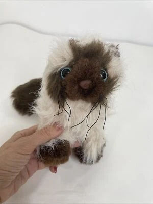 Webkinz Himalayan Cat Ganz Beige & Brown Blue Eyes Black Whiskers No Code 14” - Image 1 of 4