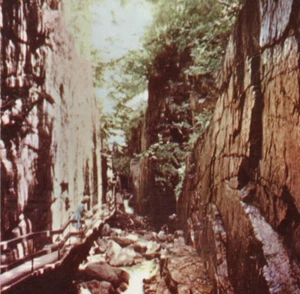 Flume Gorge Franconia Notch, White Mountains NH anni '50 cartolina d'epoca non spedita - Foto 1 di 4