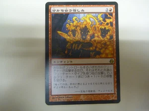 Shared Animosity Morningtide Japanese NM Foreign Magic The Gathering MTG - Picture 1 of 2