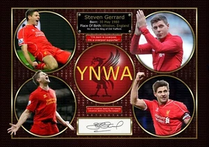 Steven Gerrard - Liverpool FC - CIMELI STAMPA FOTO ORIGINALI FIRMATI A4 - Foto 1 di 8