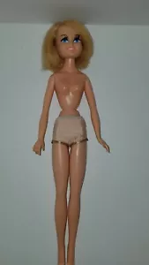Bonnie Blue Ribbon A Creation of Nat'l Blue Ribbon Freezer Food Barbie (A4) - Picture 1 of 6