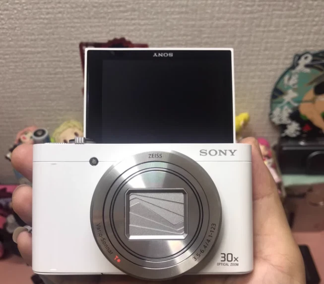 Sony Cyber-shot DSC-WX500 Compact Digital Cameras for Sale | Shop