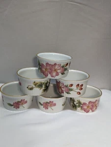 6 PIECE ROYAL WORCESTER "PERSHORE” RAMEKINS MADE IN ENGLAND - Picture 1 of 13