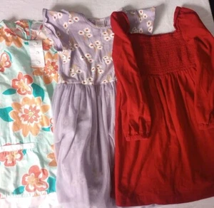 Girls Size 6t Dress Lot Of Three Gap Kids Red Long Sleeve Flowers Purple Greens  - Picture 1 of 10