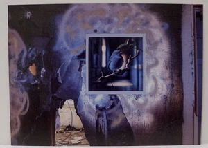 biglietto invito john divola 2025 yancey richardson 5,5 x 7,5 - Foto 1 di 2