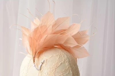 80 Colours Goose Feather Twisted Mount Millinery Hat Fascinator Royal Ascot - Image 1 of 4