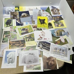 Big Lot Of 39 Unused National Wildlife Federation Greeting Cards - Picture 1 of 10