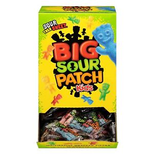 SOUR PATCH KIDS Big Individually Wrapped Soft & Chewy Candy 240 Count Box