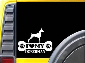 Doberman Pinscher Bone L016 8 inch Sticker rescue dog decal - Picture 1 of 1