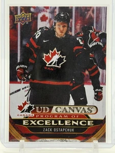 2024-25 UD Serie 2 Canvas Programma di Eccellenza #C267 Zack Ostapchuk - Canada - Foto 1 di 2