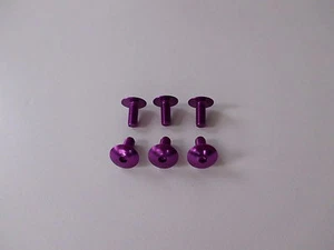 6 VITI in ERGAL ANODIZZATA COLORE VIOLA TESTA BOMBATA TCBEI M6x15 UNIVERSALE - Foto 1 di 1