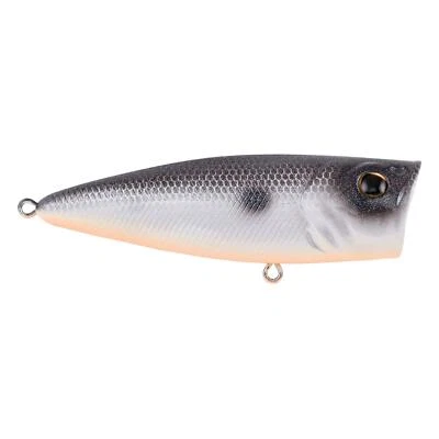 Berkley Bullet Pop Topwater Fishing Lure,Danald,2/5 盎司,70 毫米 | 2.75 英寸 Topwater — 第 1/4 张图片