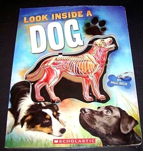 INSIDE A DOG by Paul Beck A Scholastic Book 3 D view of Man's Best Friend! - Foto 1 di 6