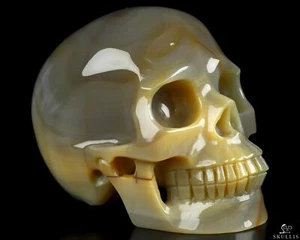 3,9 Zoll Premium Brasilianischer Achat Handgeschnitzt Kristallschädel, Realistisch, Heilung - Bild 1 von 7