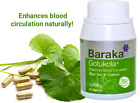 BARAKA GOTUKOLA Plus Centella asiatica Enhance Memory Learning Ability Cognition