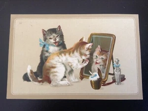 Carte postale fantaisie chat - Picture 1 of 2