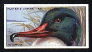 THE GOOSANDER 1929 JOHN PLAYER CIGARETTES CURIOUS BEAKS #18 EXCELLENT NO CREASES - Picture 1 of 2