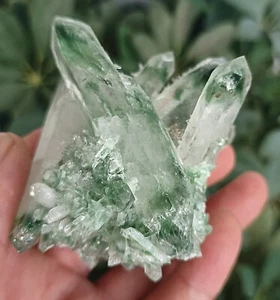 187g NUEVO HALLAZGO VERDE NATURAL TIBETANO CUARZO CRISTAL RACIMO MUESTRA CURACIÓN 1 - Imagen 1 de 10