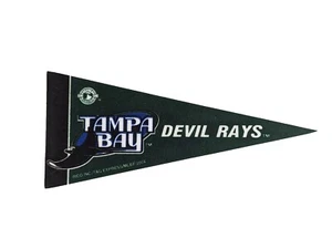 Tampa Bay Devil Rays Mini Pennant 2004 MLB Baseball 9”x4” Rico Tag Express - Picture 1 of 24