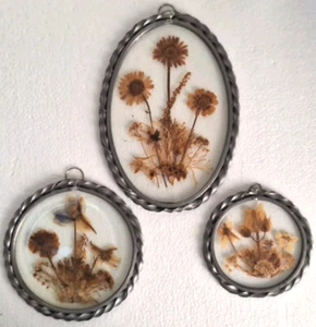 VTG 3 Lasting Impressions Framed Dried Flowers Under Glass Wall Window Art - Picture 1 of 8