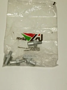 APRILIA BREMSSATTELBOLZEN SCHWIMMEND ORIGINAL AF1 EUROPA RS 50 AP8213122 - Bild 1 von 2