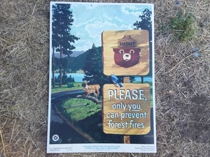 Vintage 1963 Please Only You Can Prevent Forest Fires Poster Smokey Bear Service - Picture 1 of 4