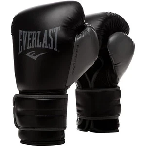 Everlast Powerlock 2R Hook and Loop Training Boxing Gloves - Picture 1 of 3