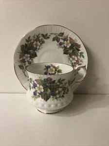 QUEENS ROSINA Teacup & Saucer WILD FLOWERS Made In England Pre Owned - Picture 1 of 12