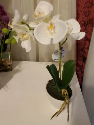 Jarrón Cerámico 2.5"×4" 13" Orquídeas Artificiales con 5 Flores Blancas, Muy Realista Foto 1 de 3