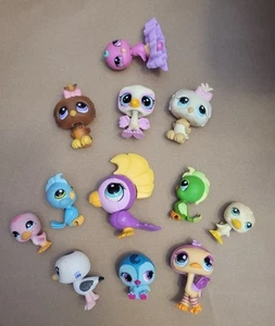 Littlest Pet Shop *** 12 VÖGEL ** Kakadu * Eule * blauer Vogel * Möwe * Strauß * mehr - Bild 1 von 3