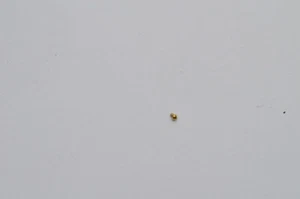 Breitling bezel screw B13355 en gold crosswind - Picture 1 of 1